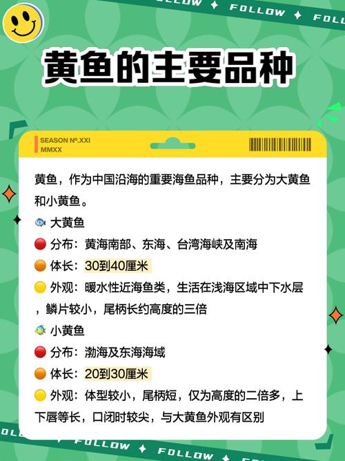 黄鱼力荐年满十八岁视频