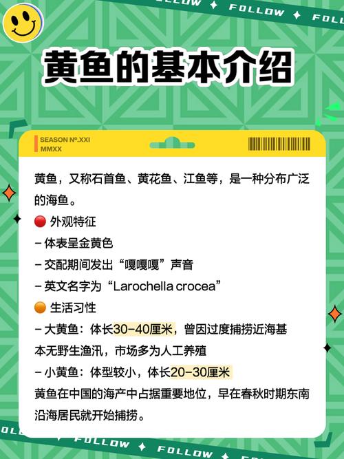 黄鱼力荐年满十八岁视频