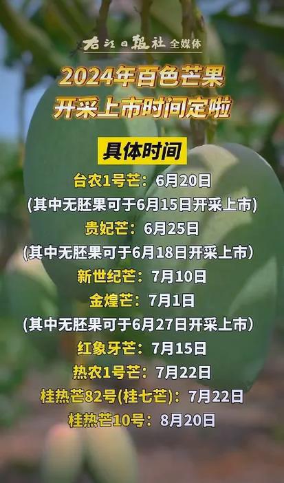 新天堂芒果视频