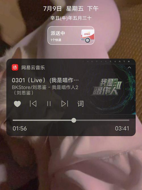 橘子优优优app