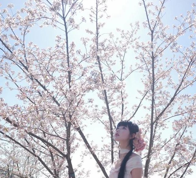 樱花视频