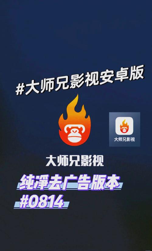 大师兄影视去广告纯净版