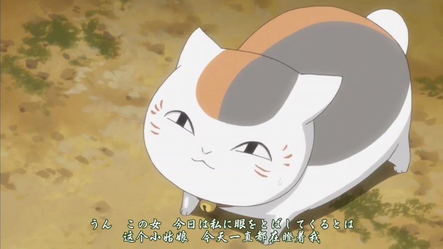 猫咪老师桌宠