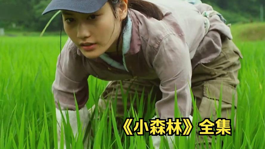 影视森林