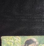 忘忧草影视中字版