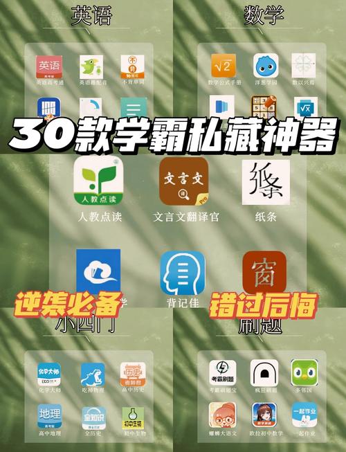 小科科app软件免费