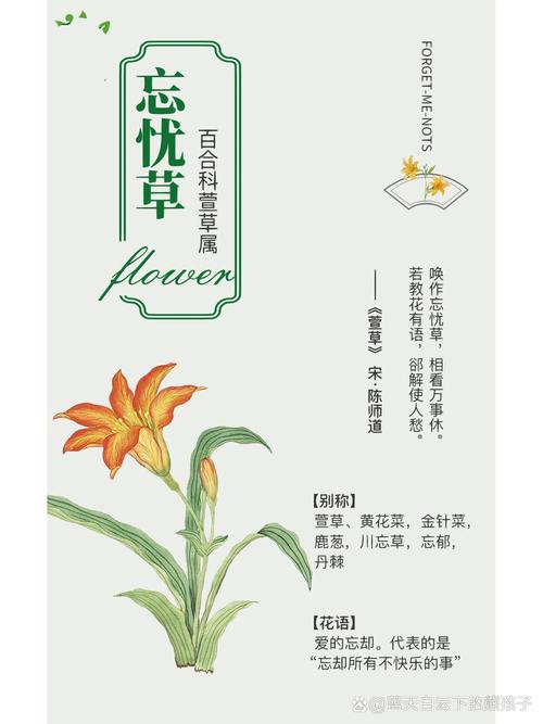 忘忧草一卡二卡三卡