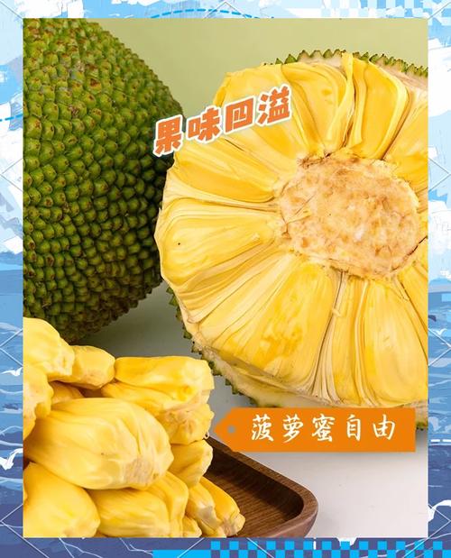 菠萝蜜国际通道