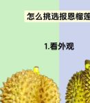 污丝瓜草莓榴莲深夜释放自己