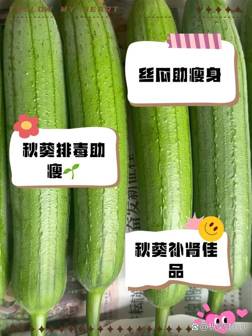 丝瓜秋葵榴莲绿巨人