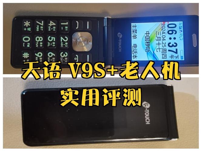 老太太cheapwindowsvps软件