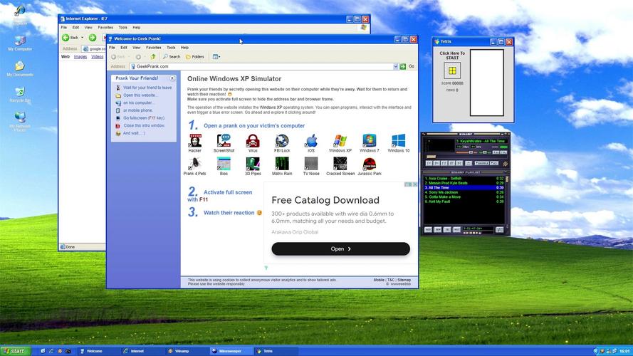 老太太cheapwindowsvps软件