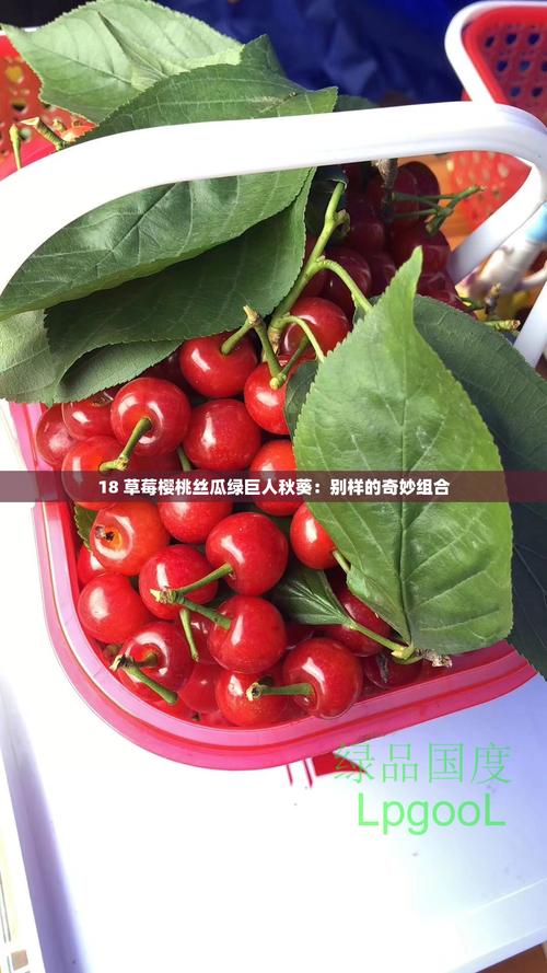 草莓丝瓜芭乐樱桃秋葵小蝌蚪榴莲18