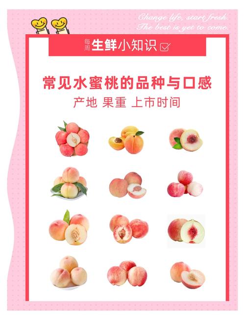 水蜜桃研究所福利版