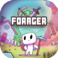 forager官方版