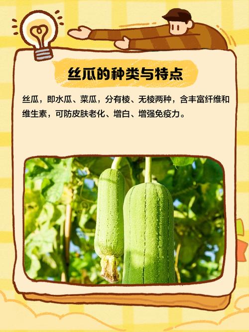 污草莓榴莲丝瓜深夜释放自己app解锁版