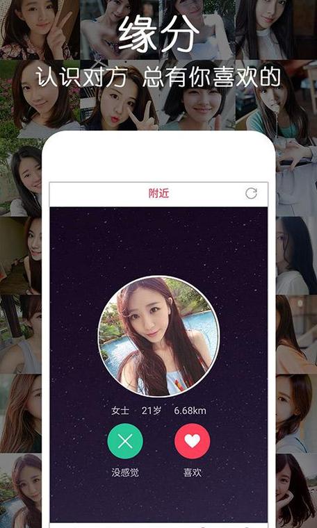 单身求爱手机版