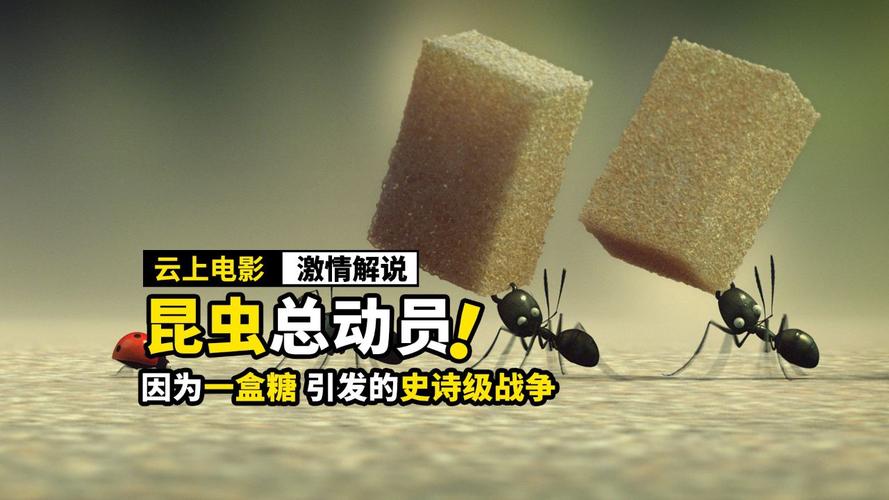 蚂蚁影视电视剧