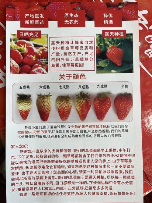 草莓榴莲向日葵入口