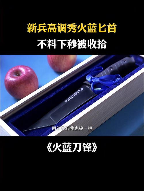 火蓝匕首 超清在线