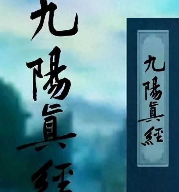 九阳真经视频在线入口