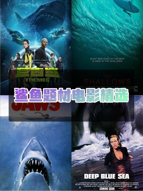 鲨鱼影视免费版