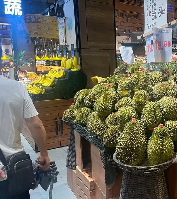 性宝福芭乐向日葵鸭脖小猪榴莲