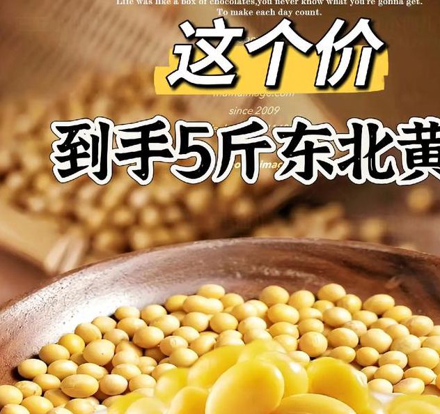 黄豆视频 黄豆精品 黄豆库