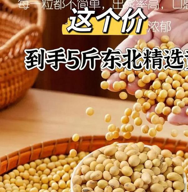 黄豆视频 黄豆精品 黄豆库