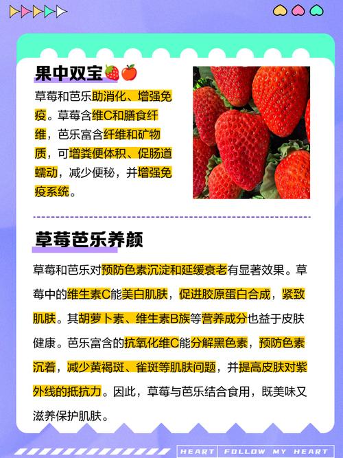 丝瓜草莓芭乐鸭脖幸福宝合理安排