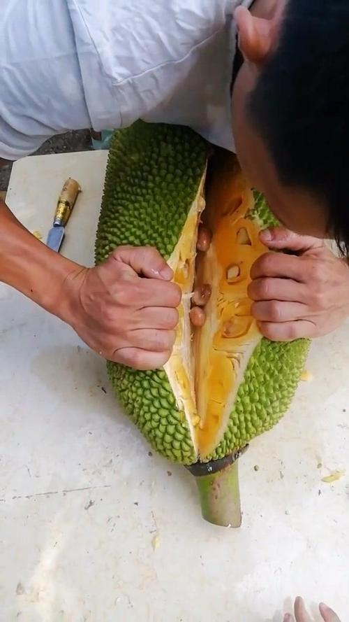 菠萝菠萝蜜免费视频高清观看1