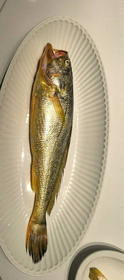 黄鱼视频最新版