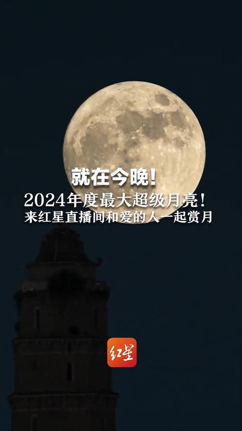 月亮视频1.4.8安卓版