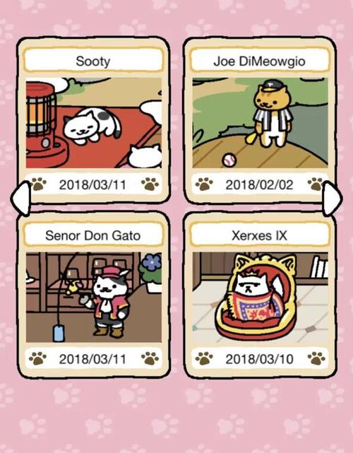 国产浮力院最新发地布路线猫咪