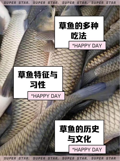 国产草鱼珍珠鱼免费网站入口