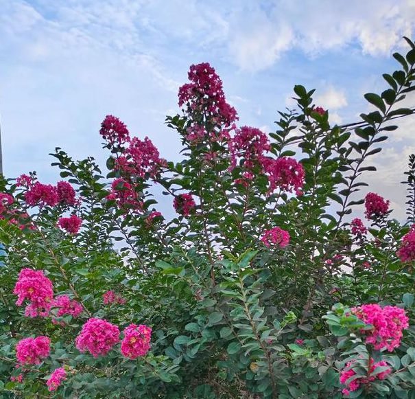 道具紫薇大秀二区