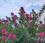 道具紫薇大秀二区