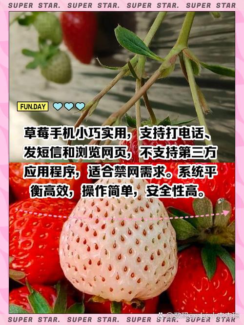 草莓香蕉app