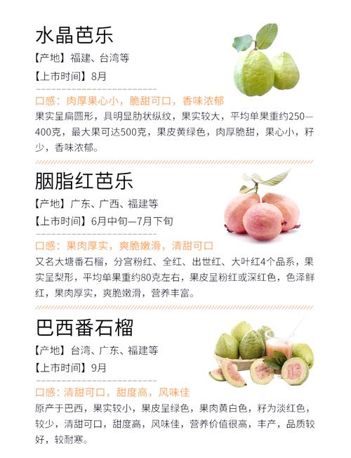 芭乐向日葵小猪鸭脖丝瓜榴莲