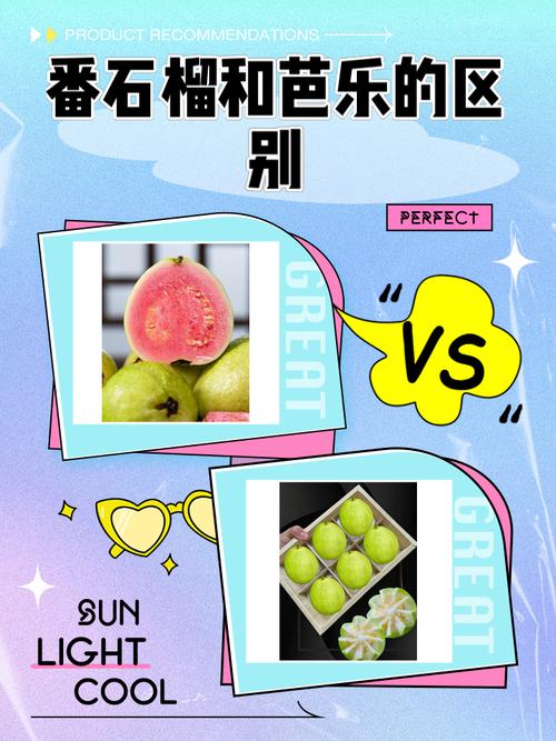 芭乐向日葵小猪鸭脖丝瓜榴莲