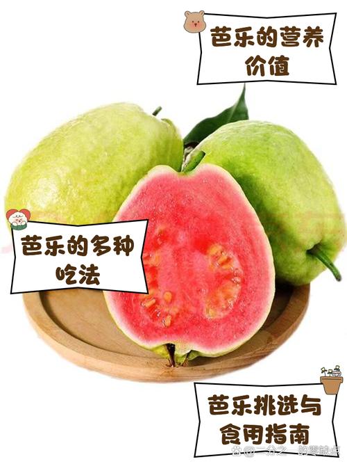 芭乐丝瓜向日葵草莓榴莲