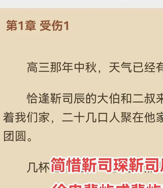 简惜靳司琛全文免费阅读
