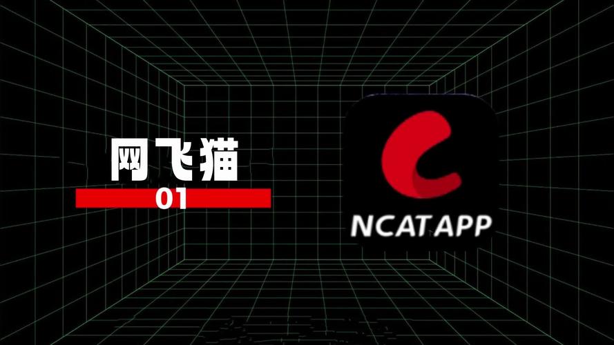 蕾丝猫视频播放器