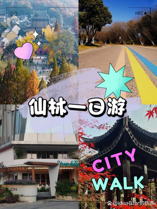 2022仙踪林入口欢迎您