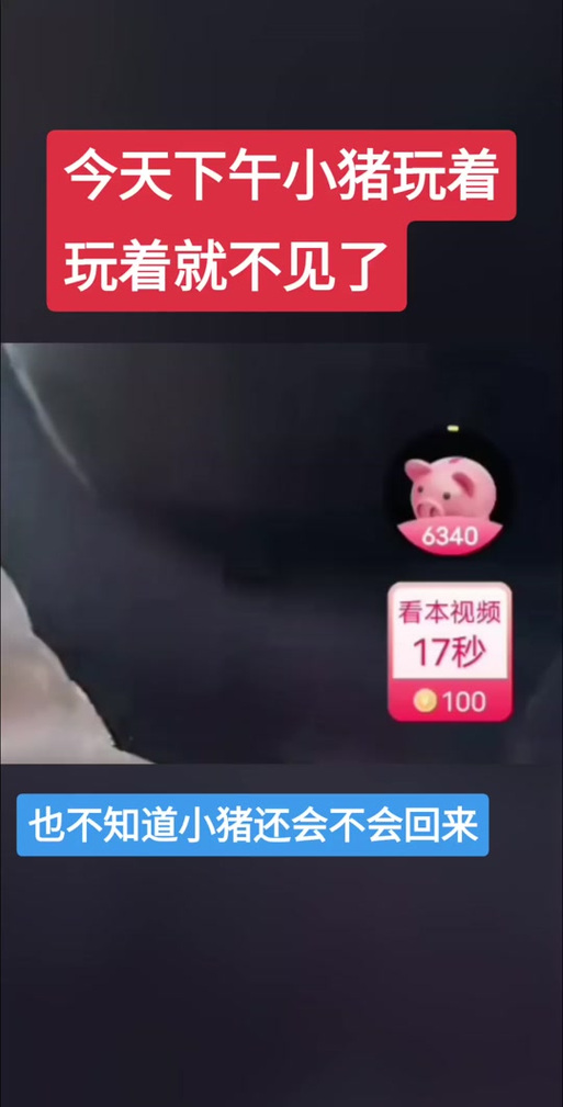 小猪视频app无限次数