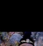 八戒八戒看免费网中文字幕