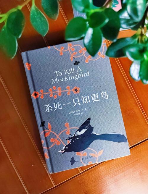 知更鸟影视官方版v1.0.3