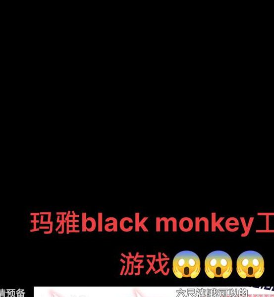 blackmonkeypro