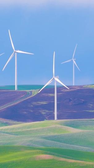 风车影视手机版