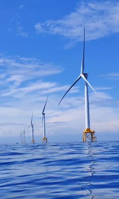 风车影视手机版